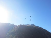 IMG_0119.JPG