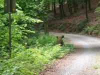 DSC00080.JPG
