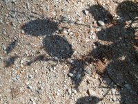 DSC00156.JPG
