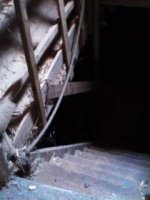 IMG1781A.jpg