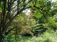 DSC00339.JPG