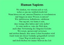 human sapiens.jpg