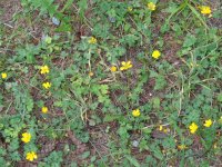 DSC00100.JPG