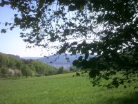 DSCF0084.JPG