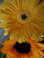 DSC00259.JPG