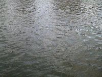 DSCF0183.JPG