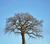 DSC_0033.JPG