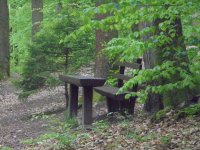 DSC00060.JPG