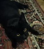 IMG_20201217_215830.jpg