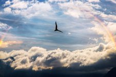 sky-4850411.jpg