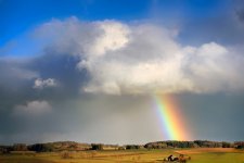 rainbow-4047523_960_720.jpg