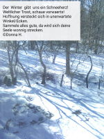 Screenshot_20220122-074246-214.png