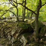 20170506_130730.jpg
