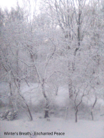 Screenshot_20220129-123837-848.png