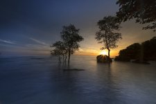 the-sun-3057622.jpg