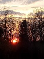 IMG_20220305_174708529.jpg