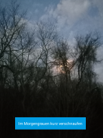 Screenshot_20220319-105138-046.png
