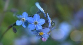 Fotoram.io(3) - Kopie.jpg