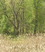 IMG_20220427_135748157.jpg