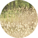 Screenshot_20220427-141008-418.png