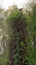 IMG_20220427_141420880.jpg