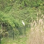 IMG_20220427_141609133.jpg