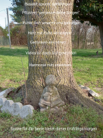 Screenshot_20220508-202846-645.png