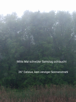Screenshot_20220515-060021-675.png