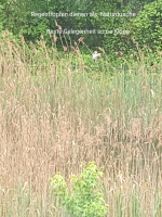 Screenshot_20220515-061444-872.png
