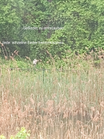 Screenshot_20220515-061828-837.png