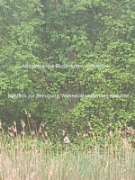 Screenshot_20220515-062422-600.png