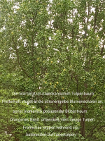 Screenshot_20220516-181801-959.png