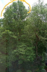 Screenshot_20220603-140231-756.png