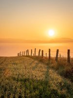 sunset-6303992.jpg