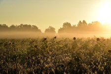 sunrise-3710393.jpg