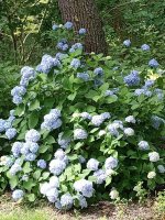 IMG_20220621_104549767.jpg