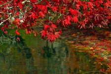 herbstbunt.jpg herbstbunt.jpg
