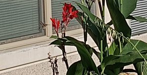 IMG_20220904_094245124~2.jpg