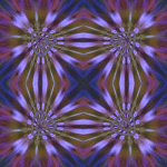 imageedit_9_9578694443.gif