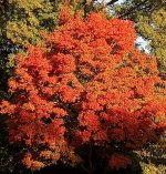 IMG_20221015_080404097~2.jpg