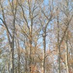 IMG_20221117_114100944~2.jpg