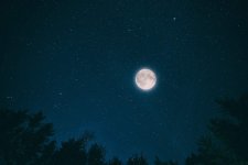night-2938792.jpg