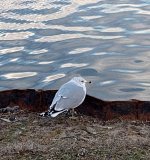 IMG_20230202_073959461~2.jpg