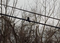 IMG_20230216_082214465~3.jpg