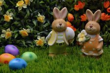 easter-bunny-1232926.jpg easter-bunny-1232926.jpg
