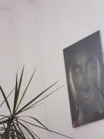 IMG_20231004_082410.jpg