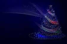 christmas-tree-2928142_1280.jpg christmas-tree-2928142_1280.jpg