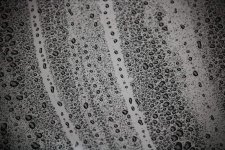 drip-2806027_1280.jpg