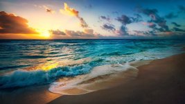 beach-2836300_1280.jpg
