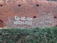 20190923_112652.jpg